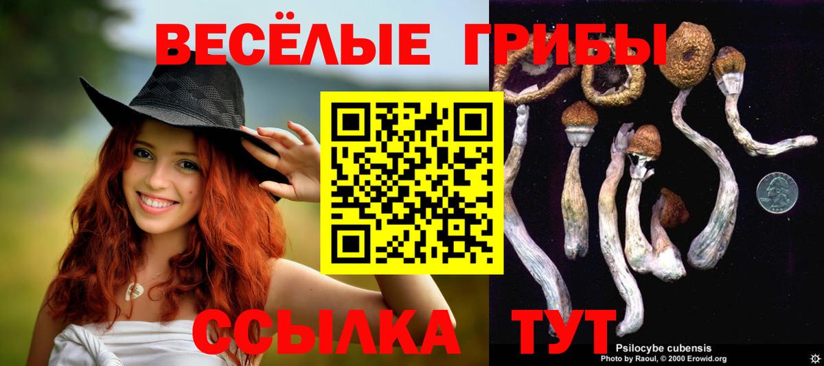 Галлюциногенные грибы MAGIC MUSHROOMS Новоалександровск