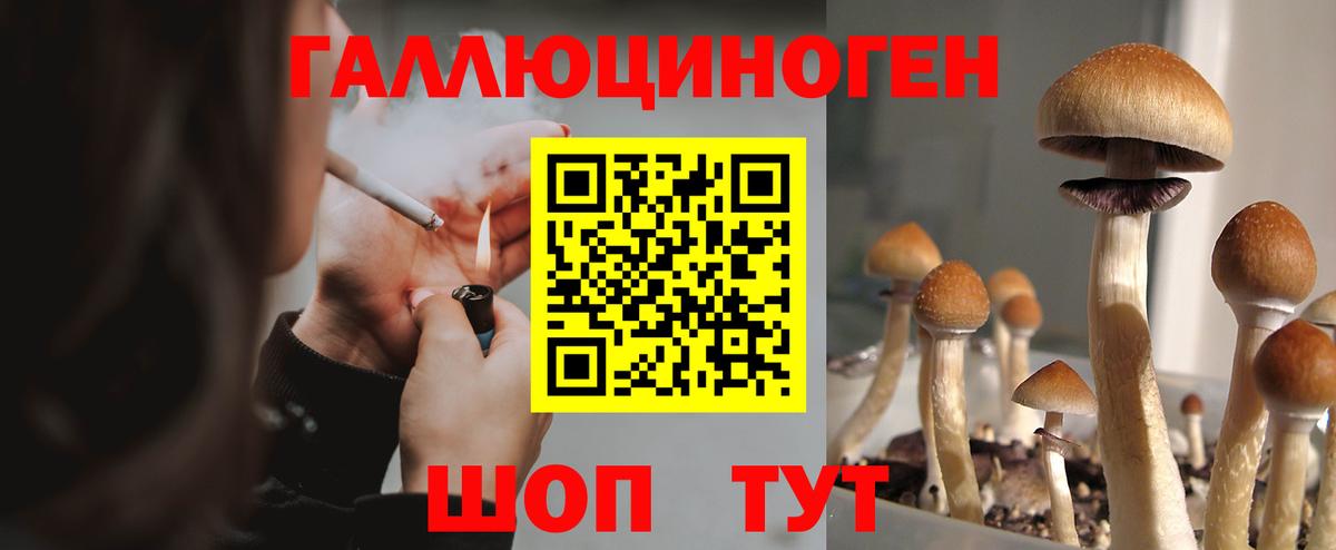 Галлюциногенные грибы Cubensis  Псилоцибиновые грибы MAGIC MUSHROOMS  Вход с VPN  Новоалександровск 