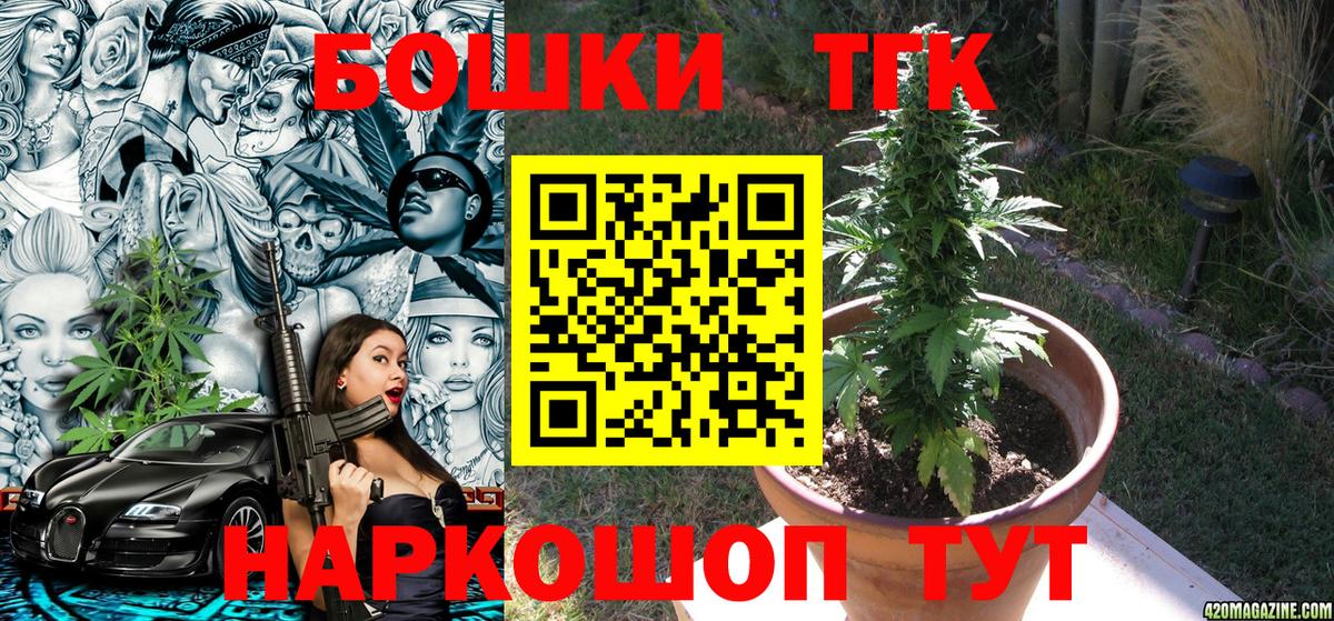 Бошки Шишки планчик Новоалександровск